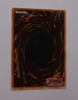 D.D. Warrior Lady HL06-EN003 (Ultra Parallel Rare, Unlimited, Excellent / VLP) - Image 4