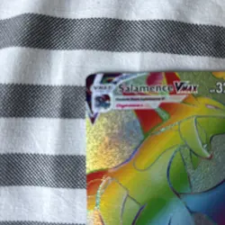 Pokemon TCG Salamence VMAX 194/189 SWSH03: Darkness Ablaze Secret Rare NM - Image 2