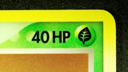 Treecko 67/100 Stamped Pokemon EX Crystal Guardians Vintage Reverse Holo NM/LP - Image 5