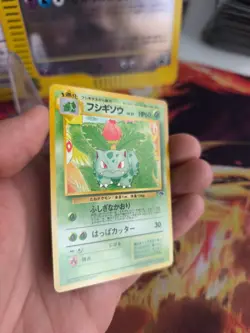 Pokemon Karte Card Ivysaur Bisaknosp Southern Island 1998 Wotc japanese NM - Image 3