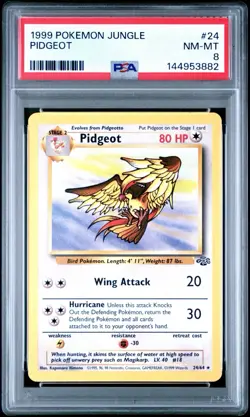 1999 Pokemon Jungle Pidgeot #24 PSA 8 NM-MT - Image 1
