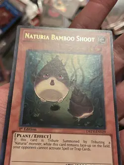 Yugioh / Naturia Bamboo Shoot / DREV-EN029 / Ultra Rare / 1st Ed / (NM) - Image 3
