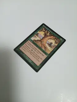 1x Moment's Peace Odyssey MTG magic the gathering - Image 2