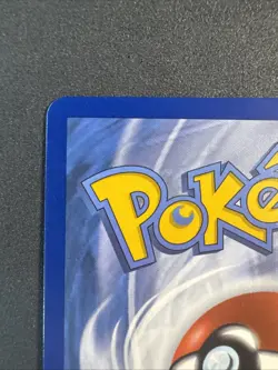 Bird Keeper (Full Art) 066/072 Shining Fates Holo Trainer Pokemon - Image 3