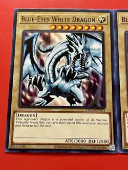 3x Blue-Eyes White Dragon | SDK Art & More! | LDK2-ENK01 | NM | Common | YuGiOh! - Image 3