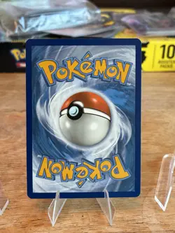 Morpeko SWSH116 Holo Black Star Promo Sword & Shield Promo Pokemon Near Mint - Image 2