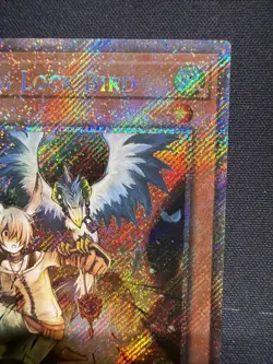 Droll & Lock Bird RA02-EN006 Quarter Century Secret Rare QCR Original NM Yugioh - Image 3