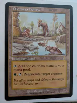 Yavimaya Hollow Urza's Destiny MTG NM Free shipping with tracking - Image 2