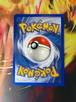 Eevee 63/100 NM Common Sandstorm 2003 Pokemon TCG - Image 4