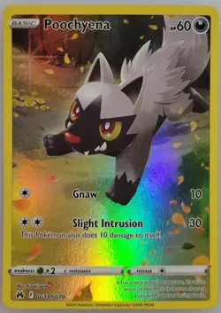 Poochyena GG33/GG70 Pokemon Crown Zenith: Galarian Gallery Holo NM (1 of 2) - Image 1