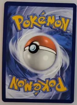 Poochyena GG33/GG70 Pokemon Crown Zenith: Galarian Gallery Holo NM (1 of 2) - Image 2