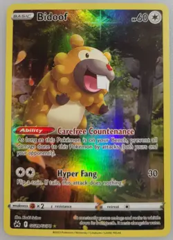 Bidoof GG29/GG70 Pokemon Crown Zenith: Galarian Gallery Holo LP (1 of 4) - Image 1