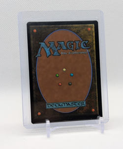 MTG - Waste Not - FOIL Borderless Promo #132 - Commander: TMNT NM - Image 2