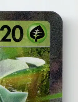 DECIDUEYE EX 015/197 DOUBLE RARE OBSIDIAN FLAMES POKEMON NEAR MINT - Image 5