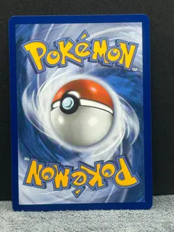 Turtwig - 040 Promo ME: Mega Evolution Promo Pokemon Holo Near Mint - Image 2