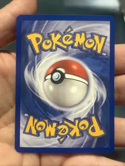 Pokemon TCG Wurmple Reverse Holo Dragon 81/97 2003- NM - Image 5
