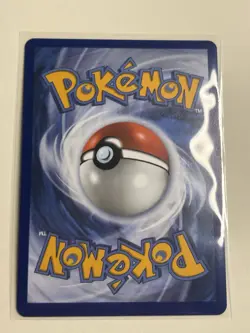 Pokemon Talonflame 091/088 Full Art Illustration Rare NM Perfect Order - Image 4