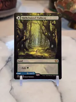 MTG Barkchannel Pathway (Borderless) Kaldheim Regular LP - Image 1