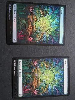 2 Forest (Showcase) Dominaria United 1 Foil & 1 Non Foil - Image 1