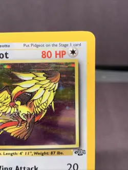 Pokemon TCG 1st Edition Pidgeot 08/64 Jungle Holo Rare WOTC VTG 1999 - Image 3