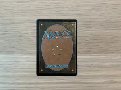 Fierce Guardianship - Secret Lair SLD 1823 - NM/Mint MTG - Image 2