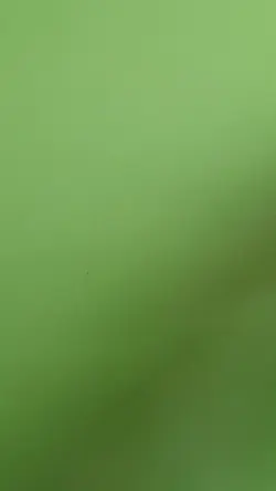 MTG DEMONIC TUTOR x1, Revised. Good. Commander, Vintage - Image 2