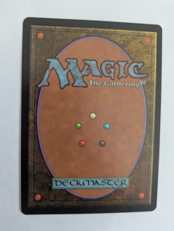 Reanimate Tempest MTG NM Free shipping with tracking - Image 2