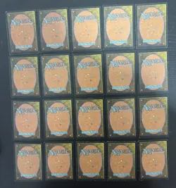 MTG 20X JAPANESE TEMPEST PLAINS MAGIC THE GATHERING BASIC LAND COMMON CARDS - Image 5