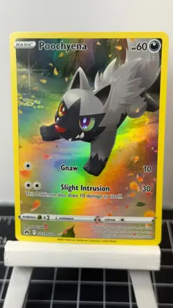 Poochyena GG33/GG70 Pokemon TCG: Crown Zenith: Galarian Gallery - Pack Fresh - - Image 1
