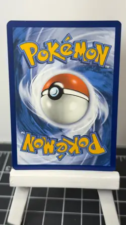 Poochyena GG33/GG70 Pokemon TCG: Crown Zenith: Galarian Gallery - Pack Fresh - - Image 2