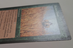 Elephant Grass MP MTG Magic the Gathering Visions - Image 3