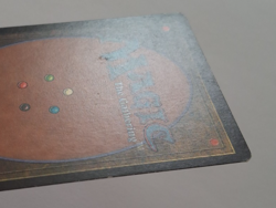 Elephant Grass MP MTG Magic the Gathering Visions - Image 5