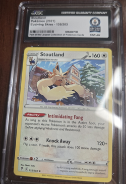 Pokemon Stoutland 135/203 Evolving Skies Rare Regular CGC Graded 2021 - Image 1