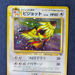 Pokemon Card Pidgeot LV.40 No.018 Holo Old Back 1996 Japanese EX/LP K01 - Image 3