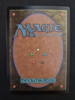 Dragonborn Champion | Secret Lair x D&D | MtG | Foil - Image 2