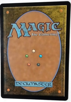 Ardenn, Intrepid Archaeologist (Foil Etched) - Commander Legends - EN - U 549 - Image 2