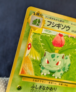 Japan Ivysaur No. 002 Southern Islands Pokemon Vintage Card Promo Japan Ex+++++ - Image 5