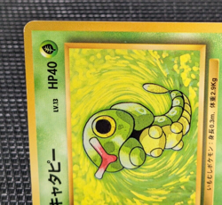 Caterpie Pokemon 1996 Base Set No Rarity 1st Edition No010 From Japan Rera EX++ - Image 4