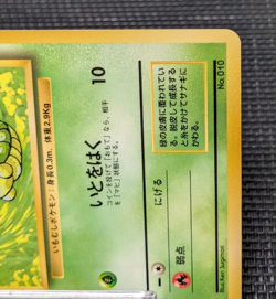 Caterpie Pokemon 1996 Base Set No Rarity 1st Edition No010 From Japan Rera EX++ - Image 5