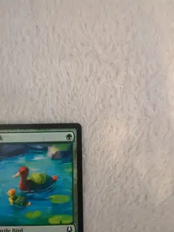 MTG. Turtle-Duck. TLA C 0200 - Image 3