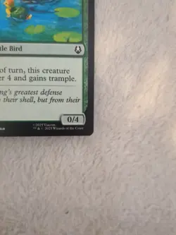 MTG. Turtle-Duck. TLA C 0200 - Image 5