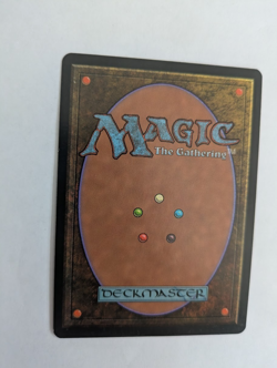 Time Warp Tempest MTG NM Free shipping with tracking - Image 2