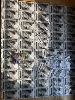 One Piece Tournament Pack 2024 Oct.-Dec. - One Piece Card Game Sealed Promo - Image 1