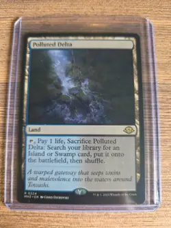Polluted Delta Mtg - Image 1