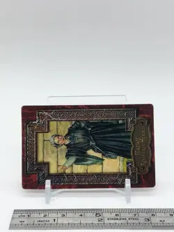 Madam Rolanda Hooch Harry Potter Chocolate Frog Card Japanese USJ Warner Bros - Image 3