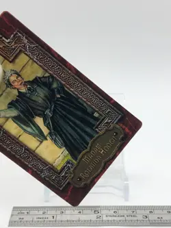 Madam Rolanda Hooch Harry Potter Chocolate Frog Card Japanese USJ Warner Bros - Image 5
