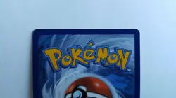 Scorbunny Holographic Black Star Promo SWSH 244 Pokemon Card Holo with Growlithe - Image 5