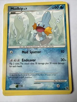 Pokemon Cards X 6 -2008 - Grovyle, Weedle, Riolu, Slugma, Mudkip, Duskull - Image 4