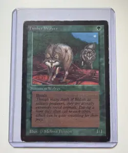Magic the Gathering MTG Beta Timber Wolves *Beta - Image 1
