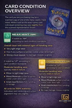 Bidoof Common Pokemon GO 059/078 NM Reverse Holo - Image 3